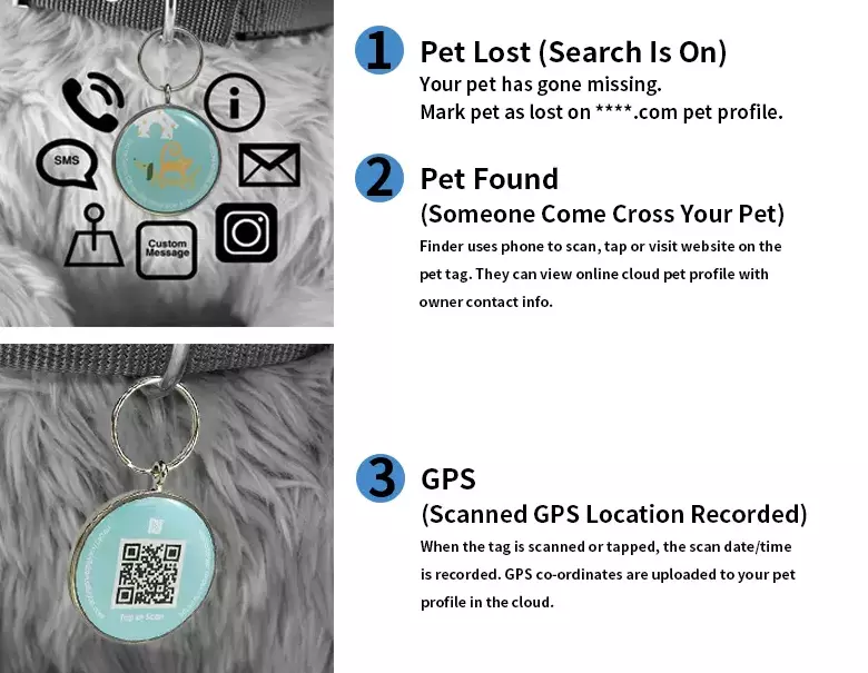 Medaglietta per animali domestici NFC RFID Medaglietta per animali NFC impermeabile RFID con piastrina per cani con codice QR
